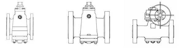 Short, regular and Venturi plug valve