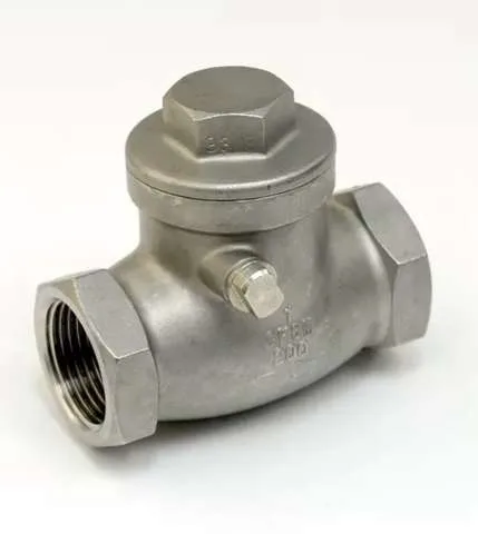 Swing check valve