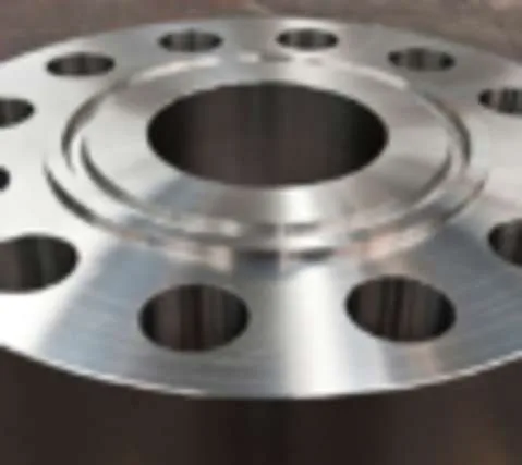 Forged Flanges
