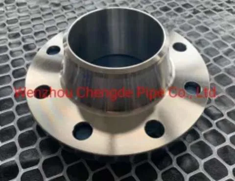 Forged Stainless Steel 300# Weld Neck Rj Flange Cdwn025
