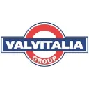 Valvitalia S.P.A logo