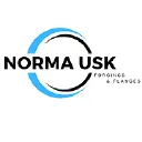 Norma India Ltd. logo