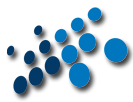 Somer Srl logo