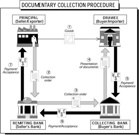 documentary collection 