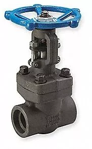 socket weld valve