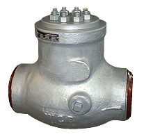 Pressure seal check valve
