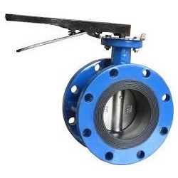 Soft seated butterfly valve
