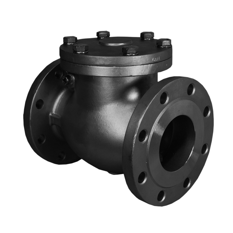 Swing Check Valve 4x150 Lbs A216 WCB • Projectmaterials